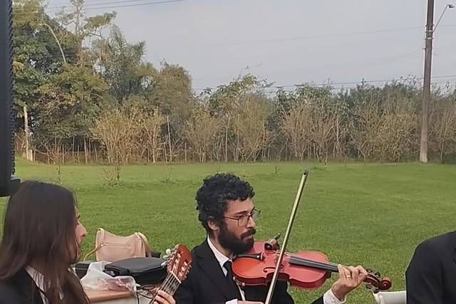 Repertório variado