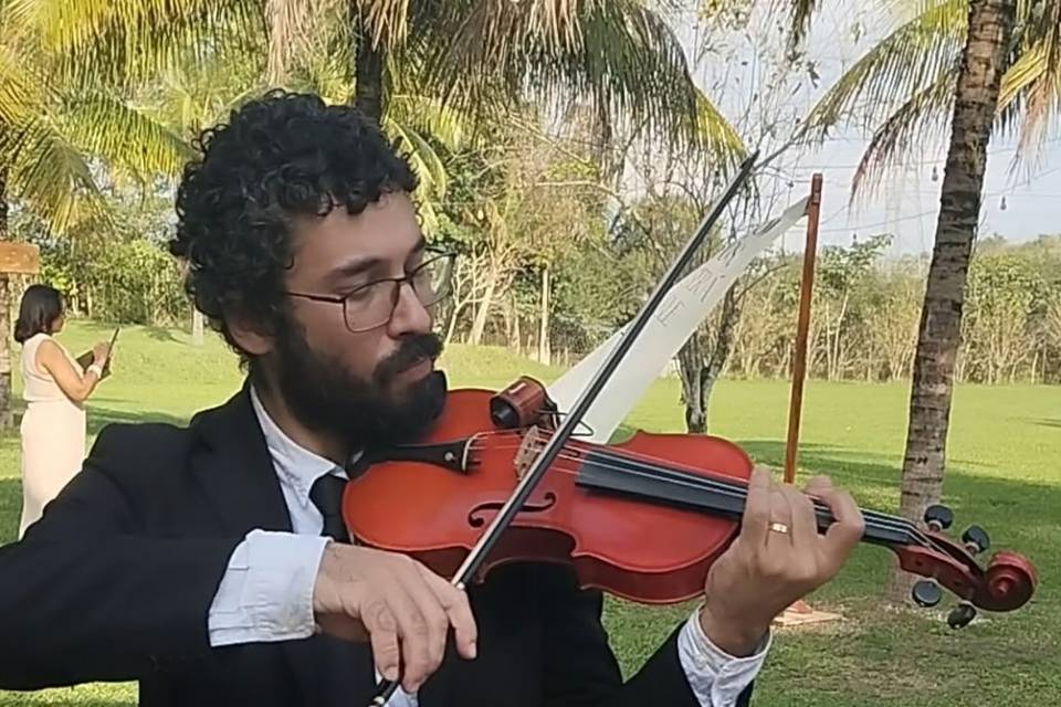 Música ao vivo