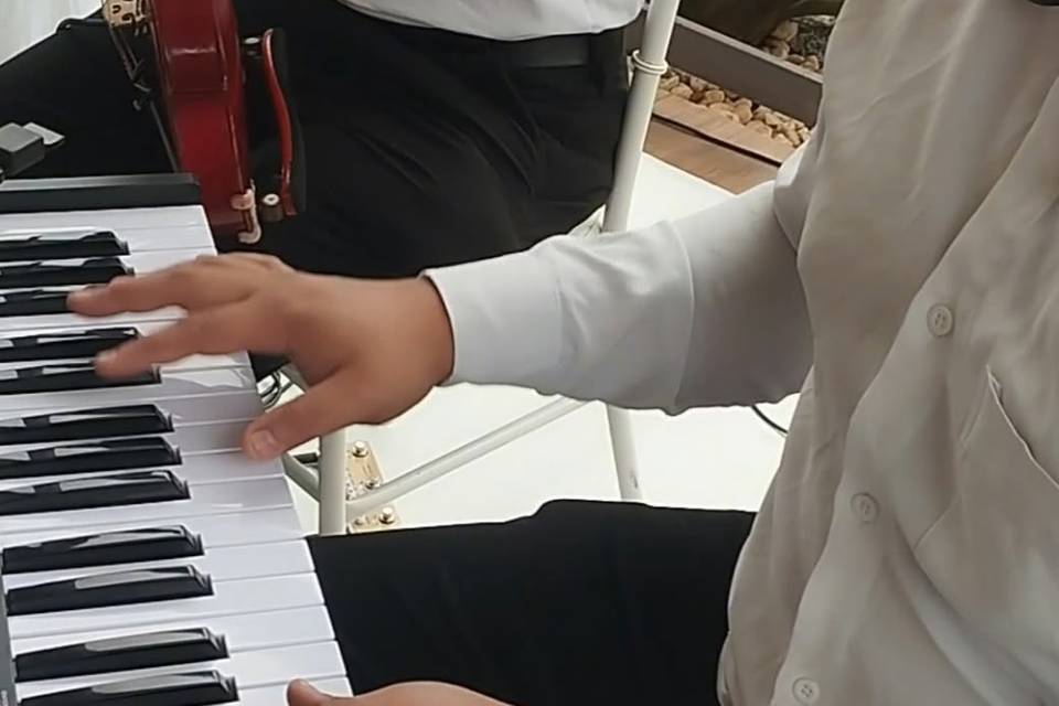 Músicos experientes