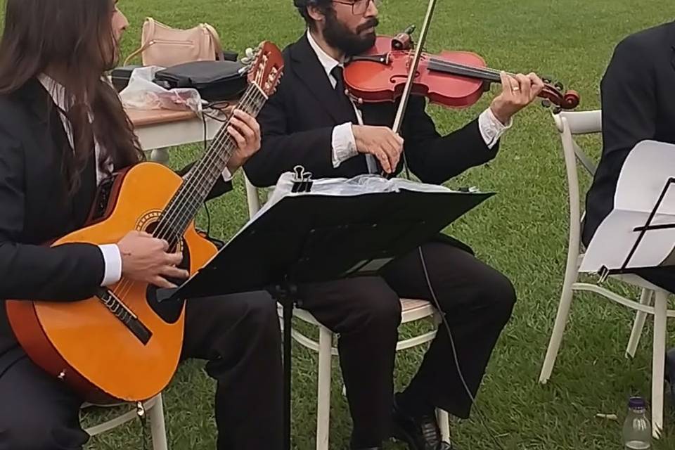 Repertório variado
