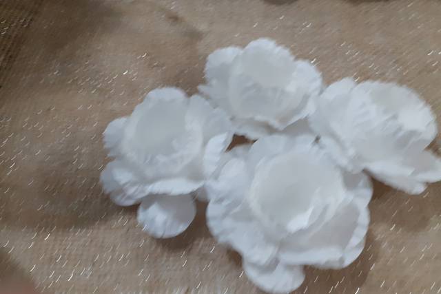 Camelia Botão frisada