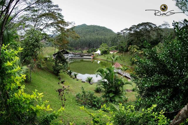 Natureza em harmonia