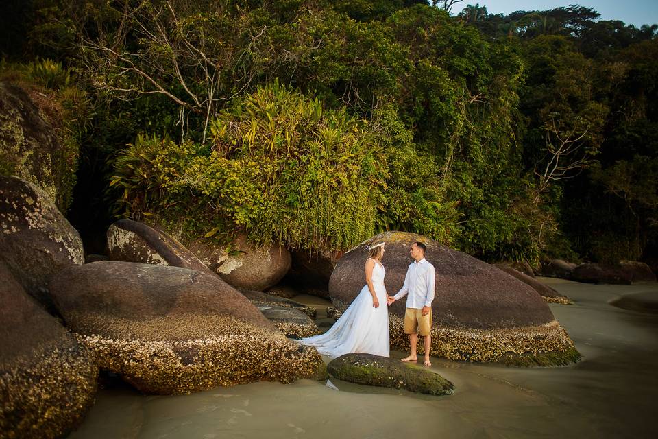 Trash the dress