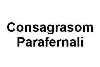 Consagrasom logo