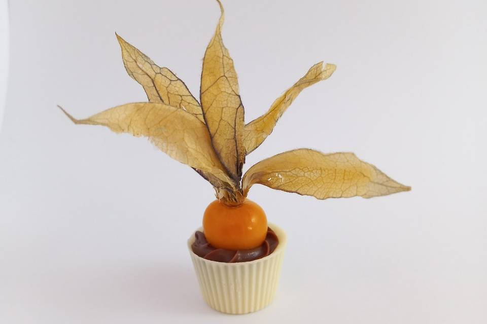 Physalis com Tufado