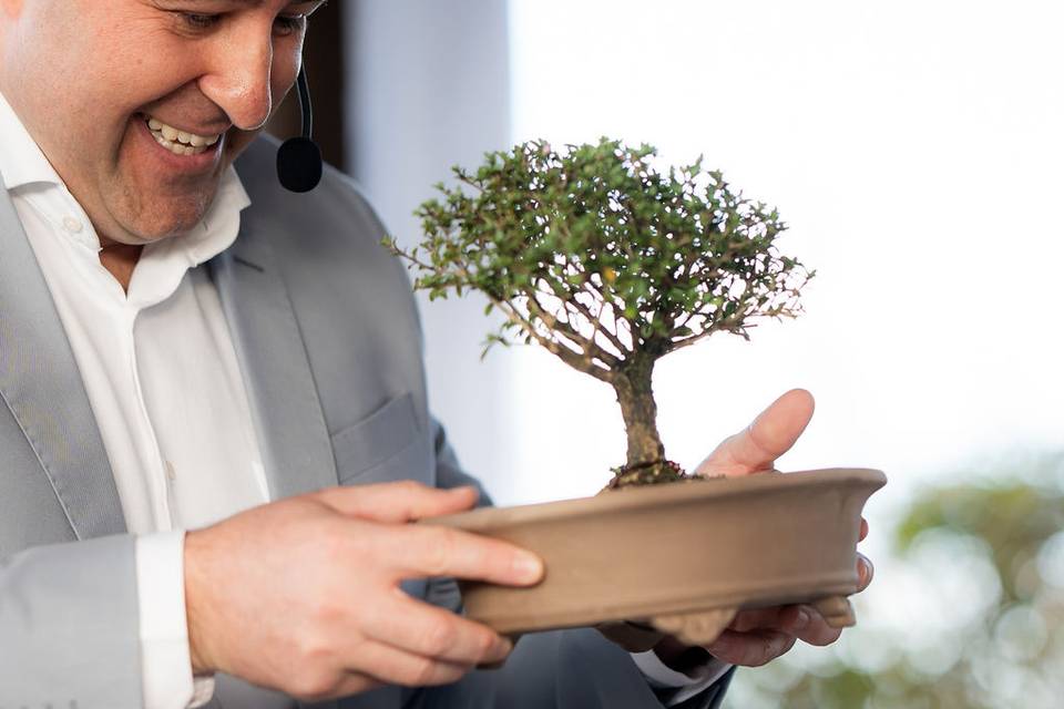 Cerimônia da Árvore (Bonsai)