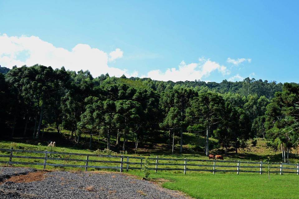 Ampla área verde.