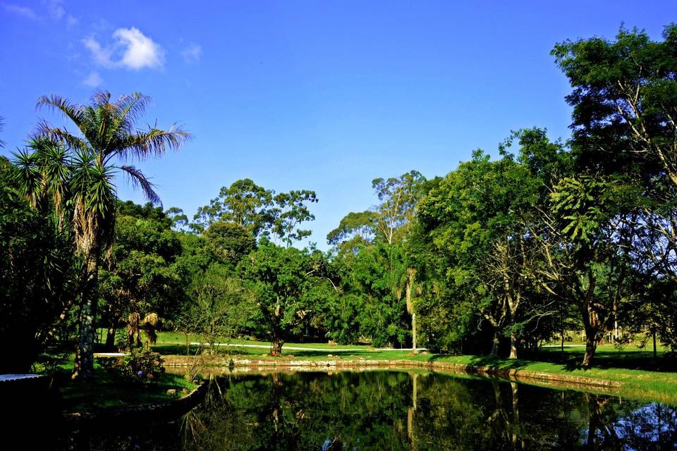 Ampla área verde.