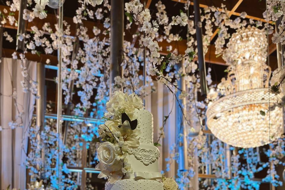 Bodas Cecília&Wagner