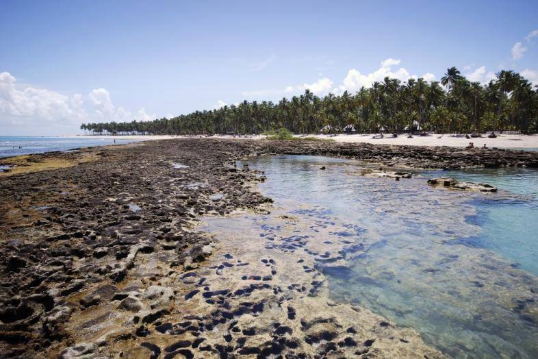 Porto de galinhas