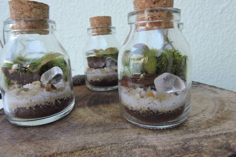 Mini terrário