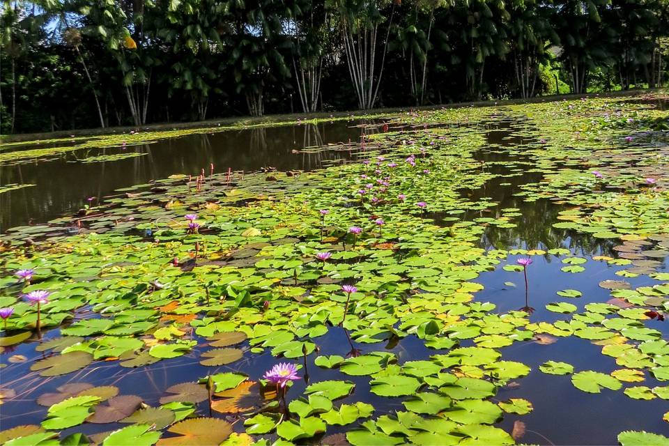 Lago Doce