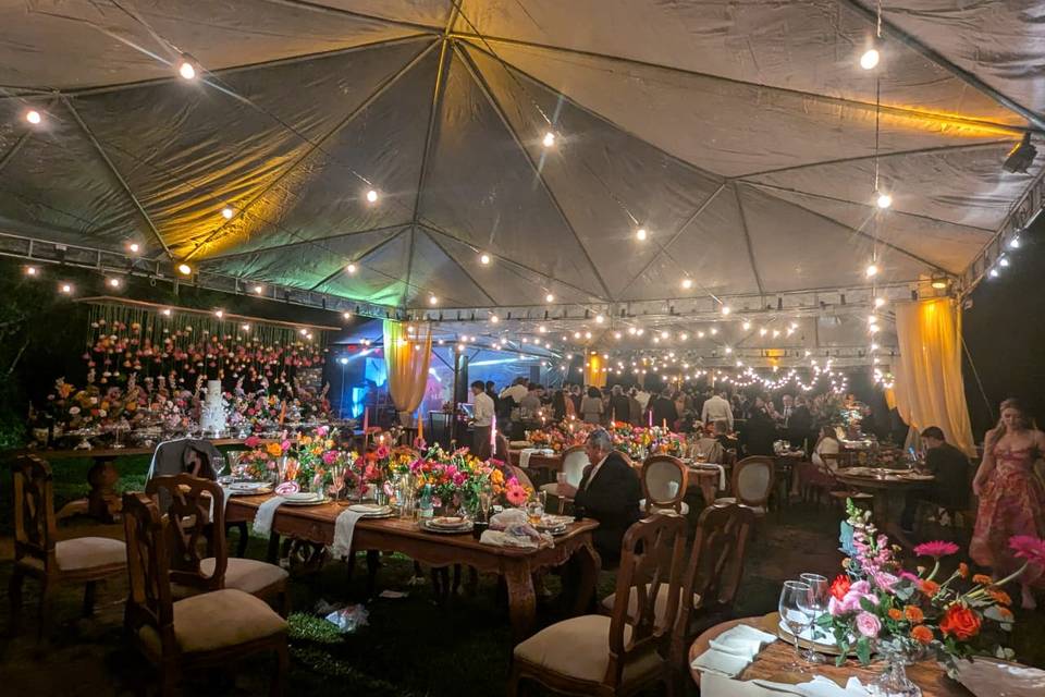 Festa
