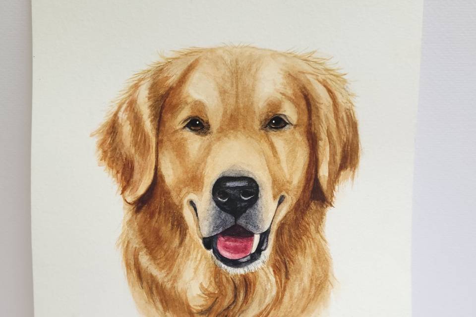 Pets para papelaria