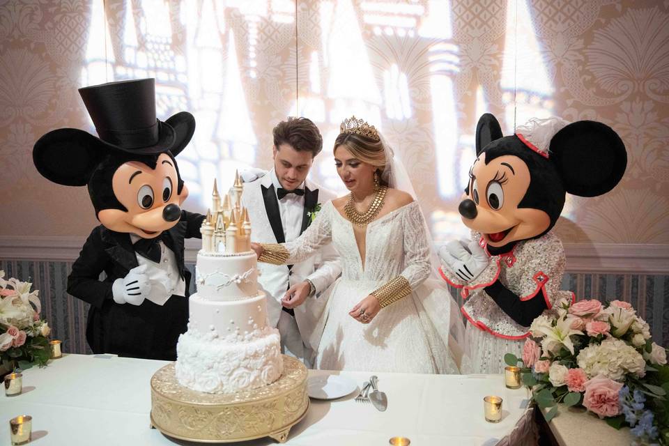 Casamento Disney