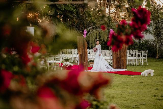 Murilo Araújo Fotógrafo