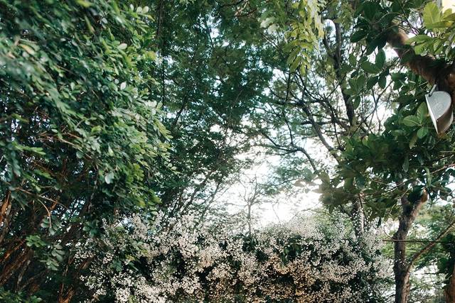 Patú Anú Park Way | A&R