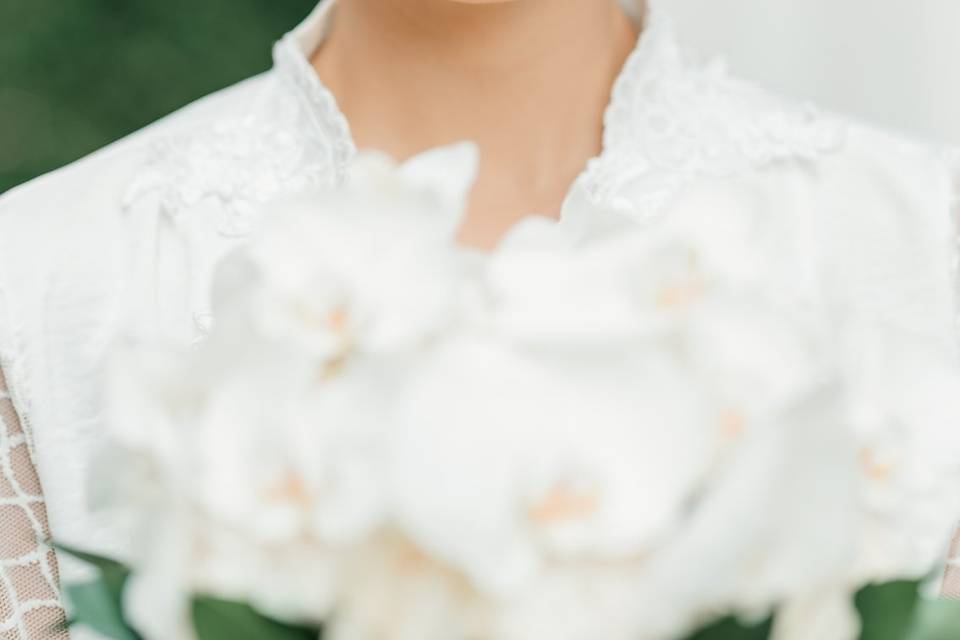 PaulinhoJrFotografia