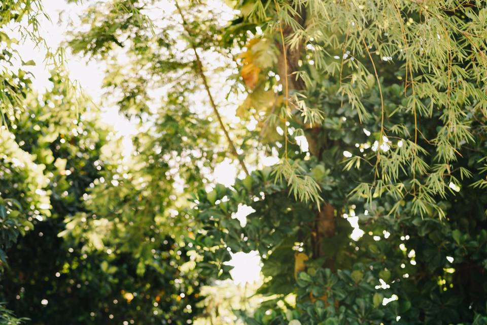 PaulinhoJrFotografia
