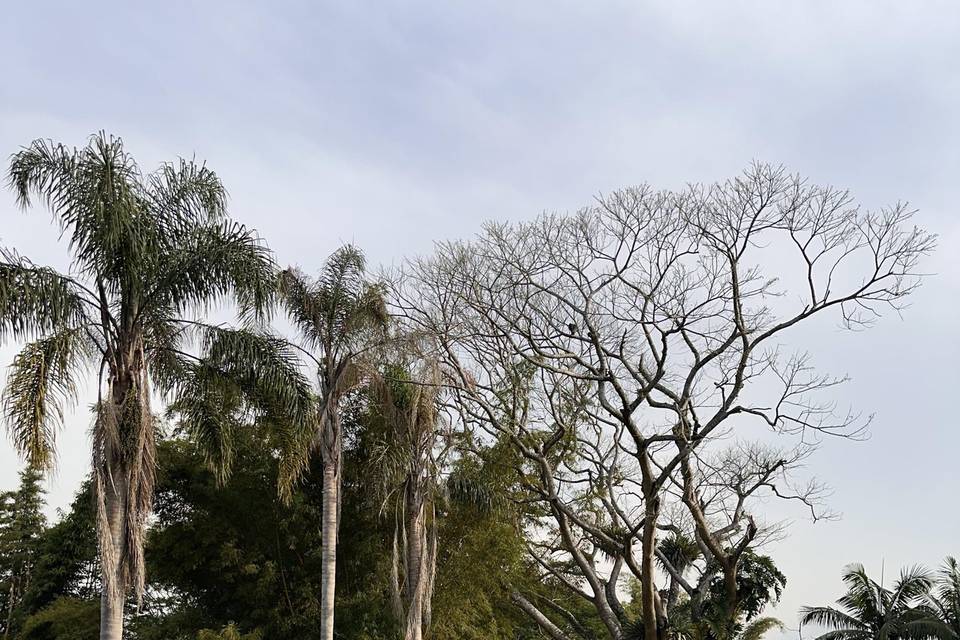 Espaço abertohttps://cdn0.casa