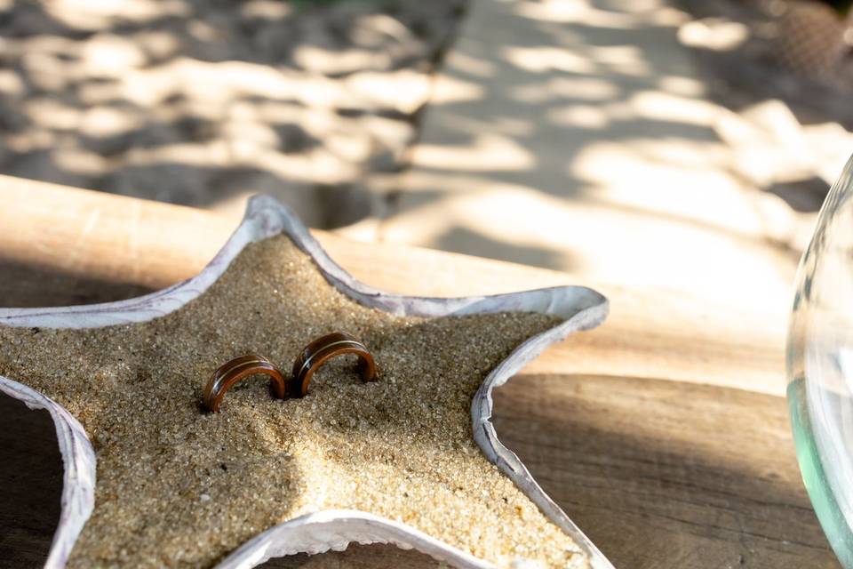 Casamento na Praia Ubatuba SP