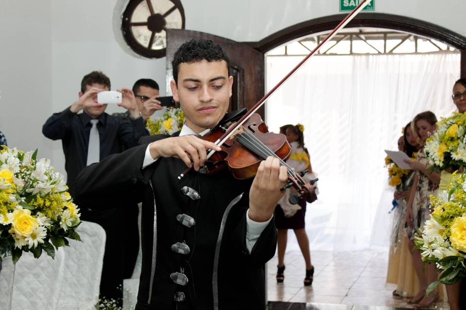 Violinista p/ Eventos