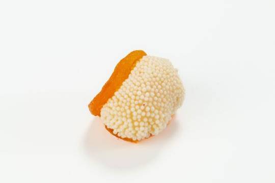 Concha de damasco