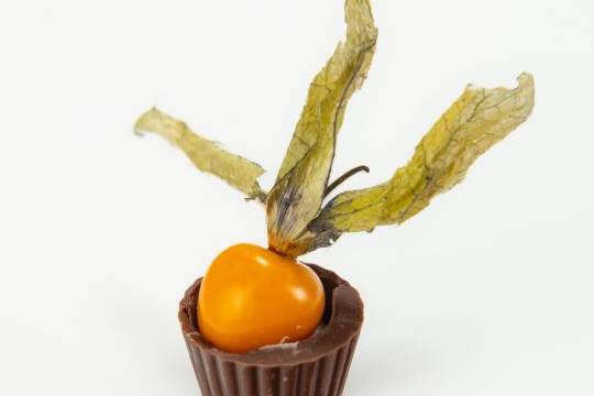 Copinho de physalis