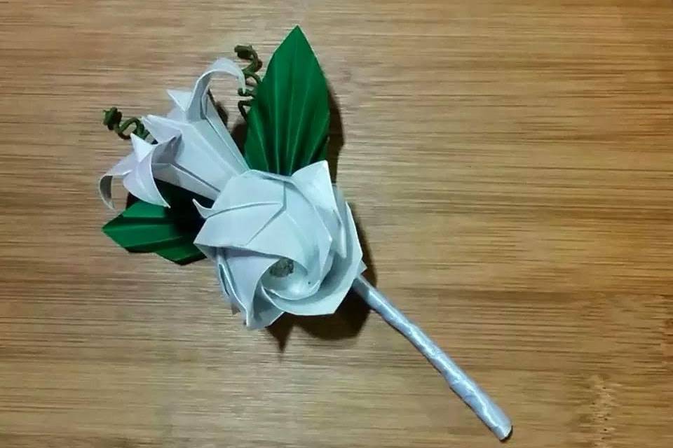 Origamis Dina