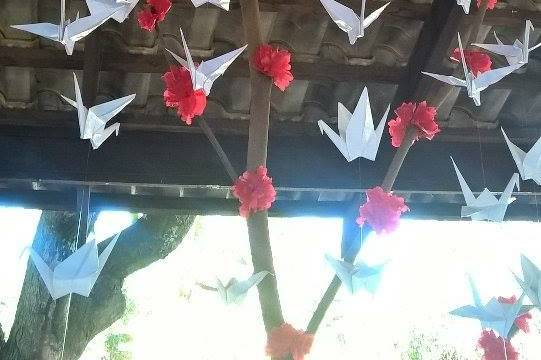 Origamis Dina