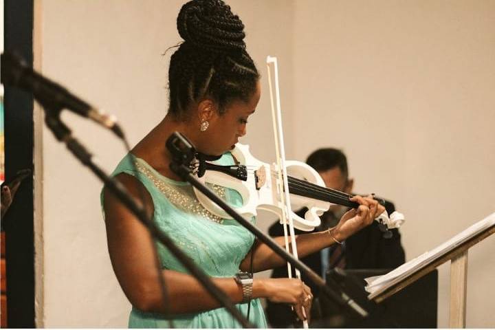 Violino