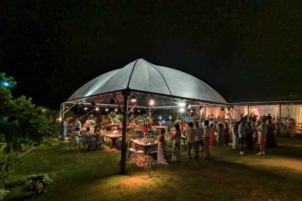 Luau