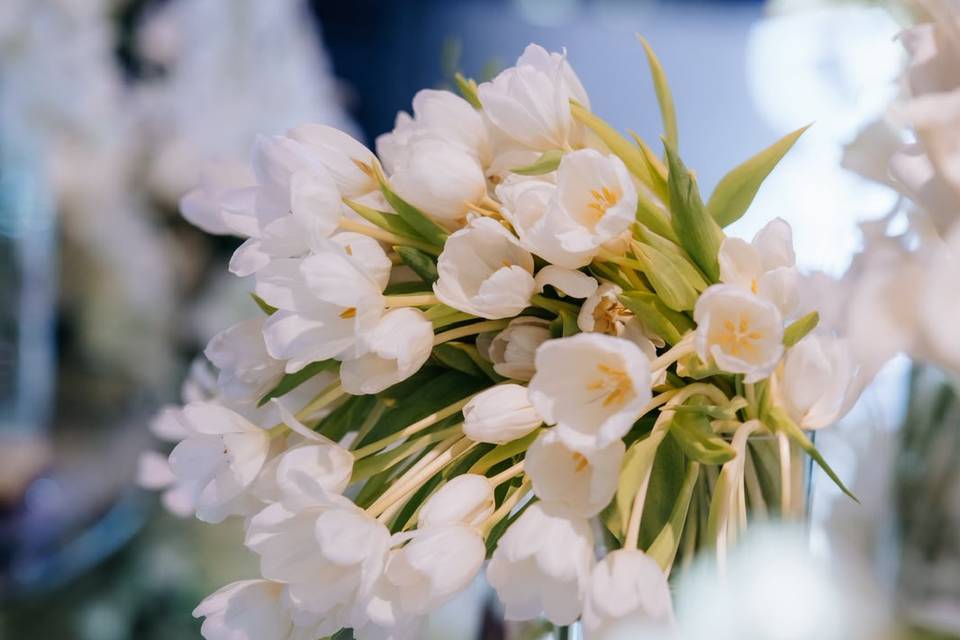 Tulipas