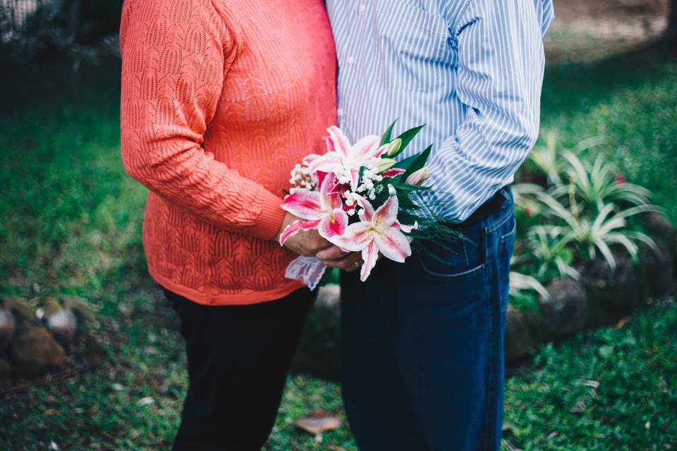 Bodas - Henrique e Izabel