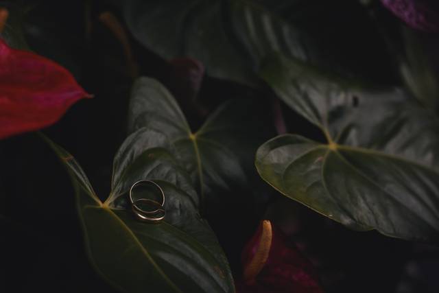 Nalu Fotografia