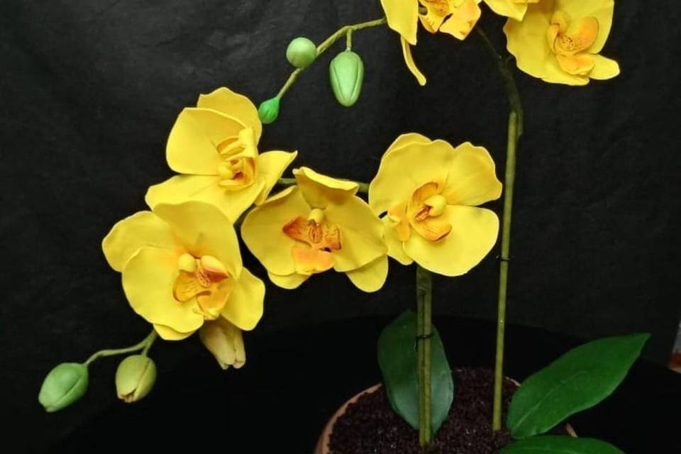 Bolo Vaso de Orquideas