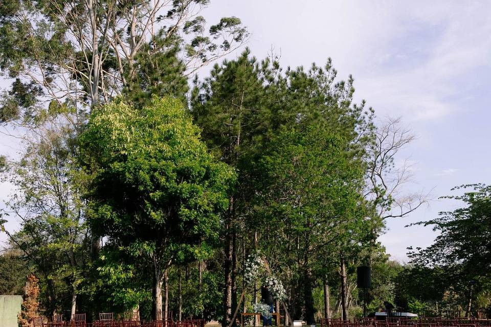 Leão de Judá