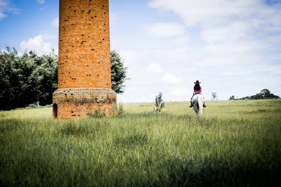 Ensaio fotográfico no campo