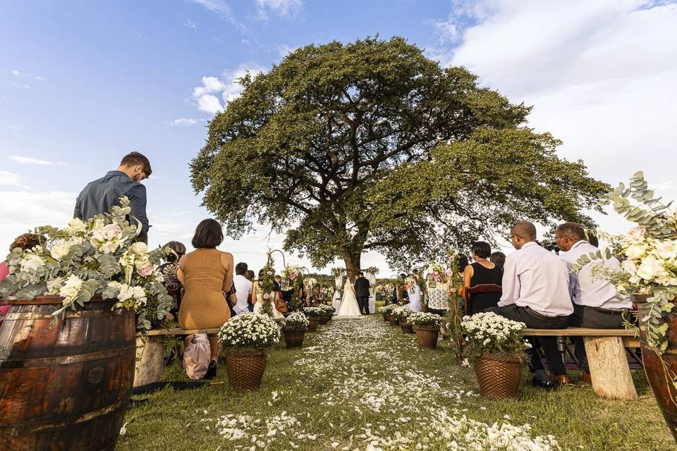 Fazenda Casa Branca