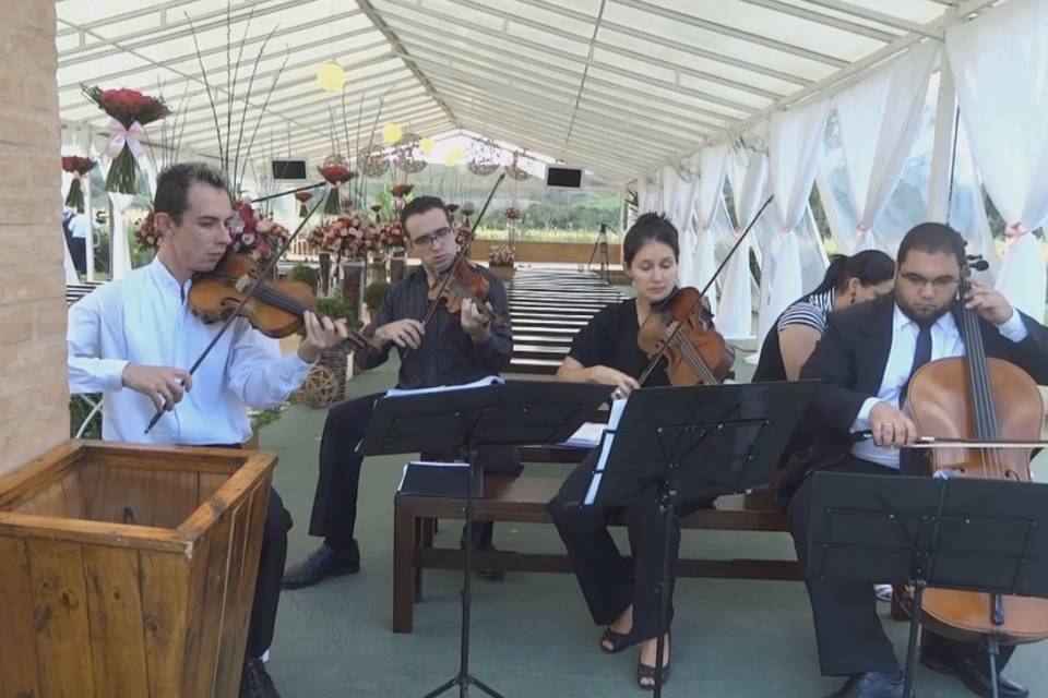 Quarteto de cordas