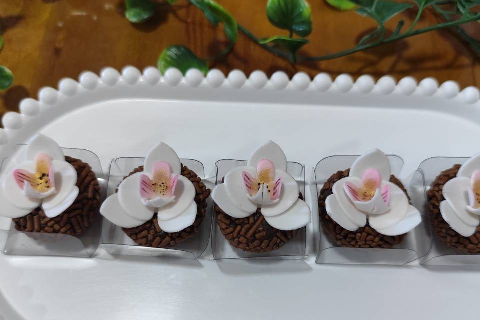 Orquídea Phalaenopsis