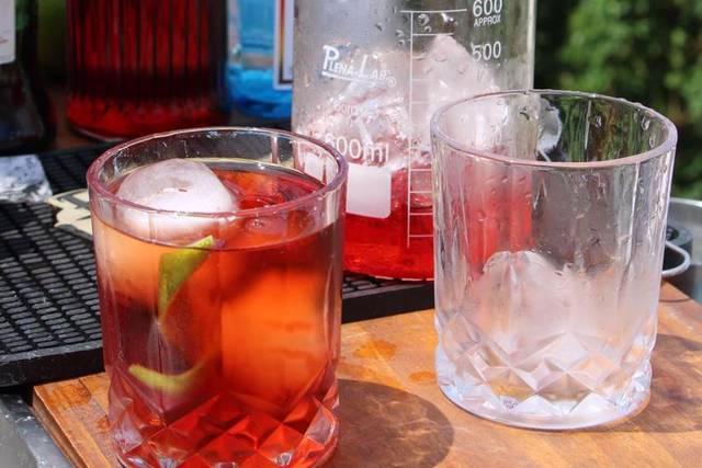 Negroni, perfeito para evento