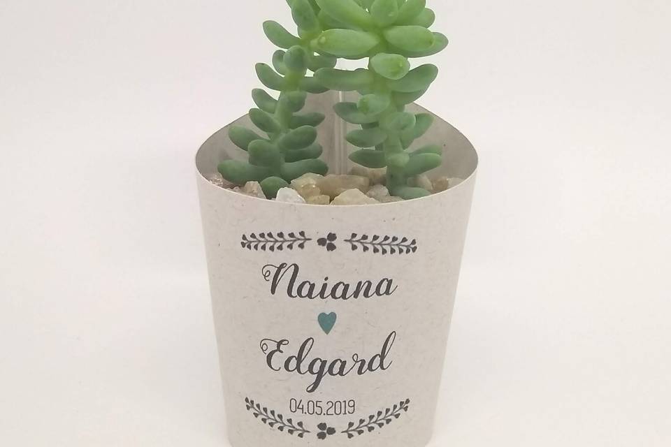 Mini Suculenta Personalizada