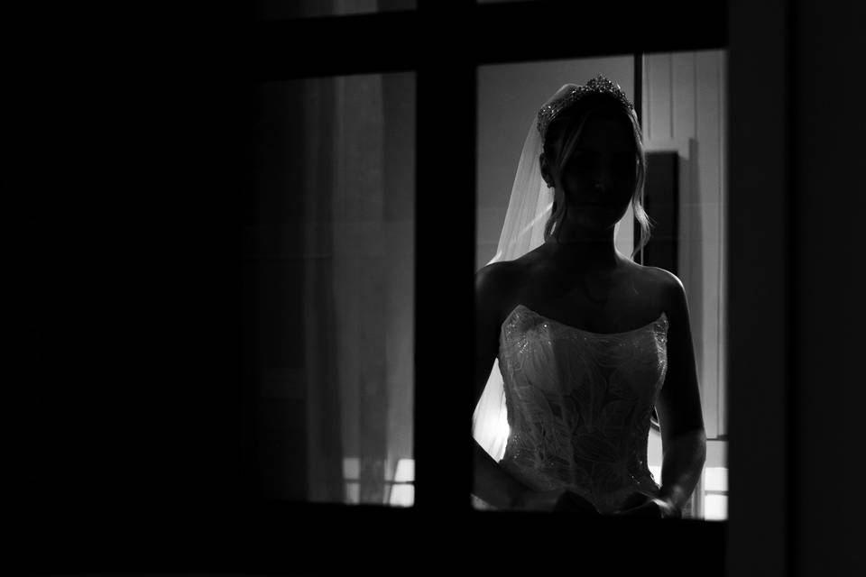 Rosa Mecanica Films
