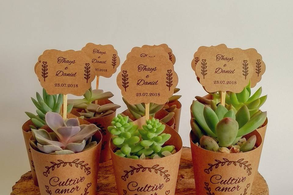 Mimo Verde Party Favors