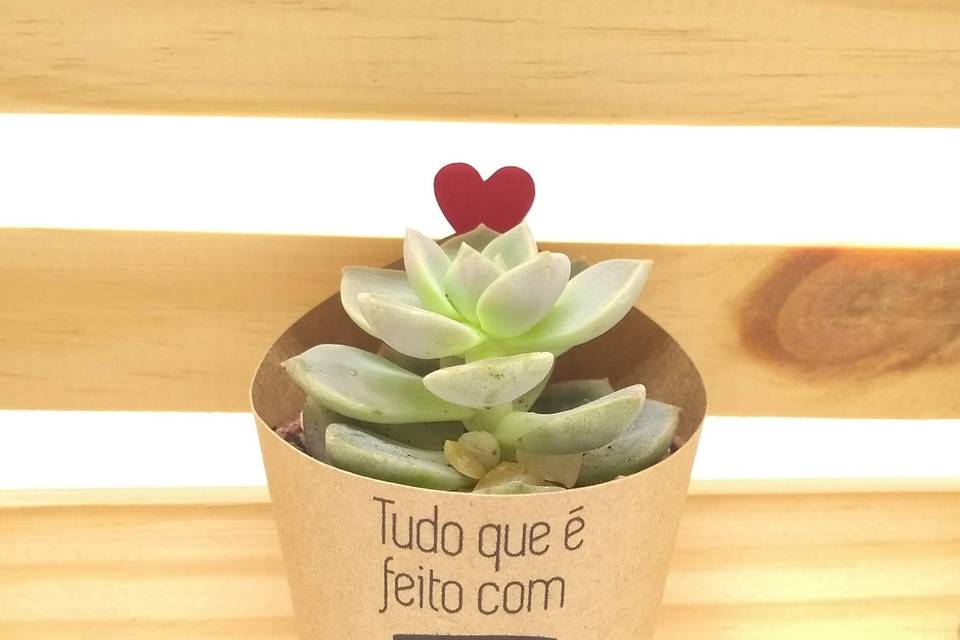 Mini Suculenta Personalizada