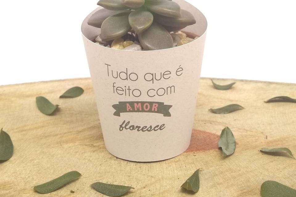 Mini Suculenta Personalizada