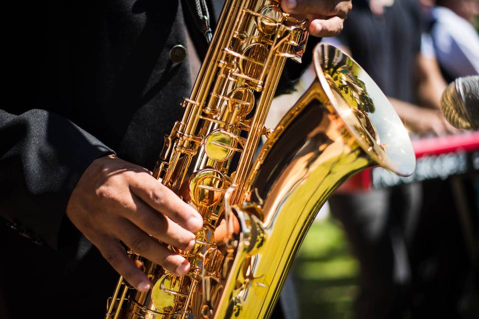 Leandro Pesse Assess Musical