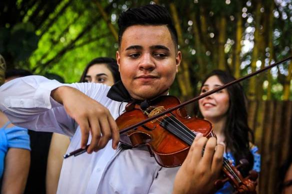 Carvalho Violinista