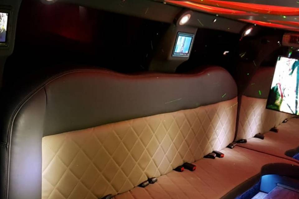 Limousine 15 lugares